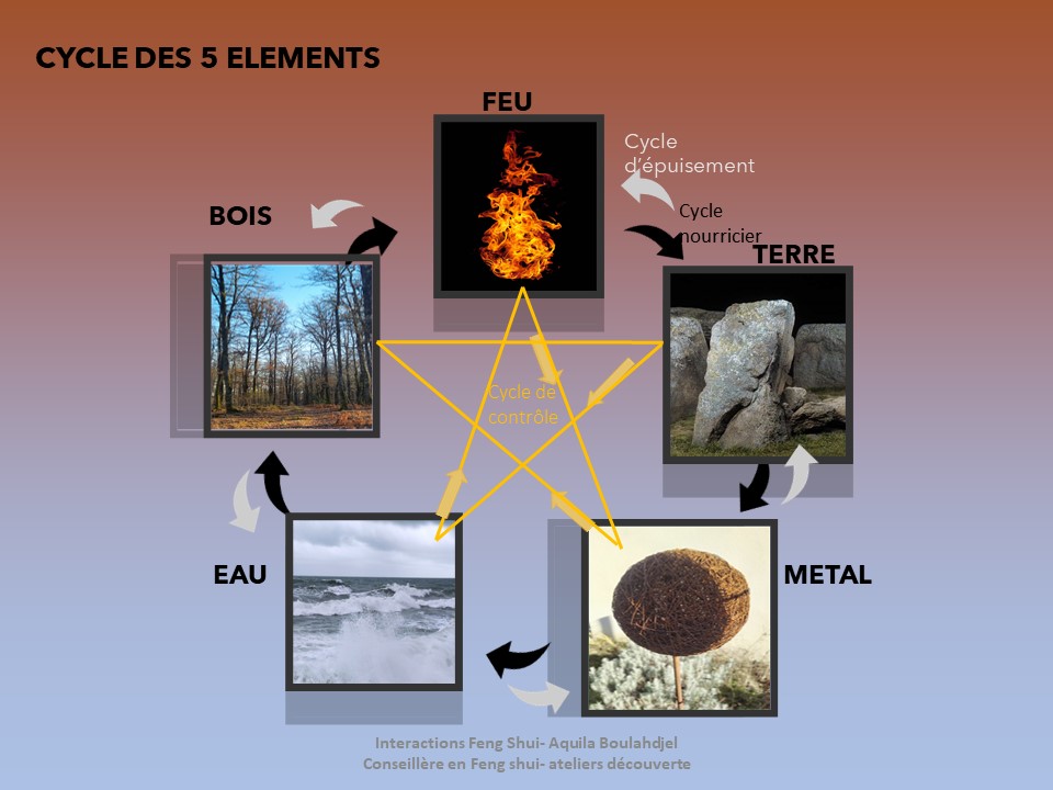 Cycles des 5 éléments